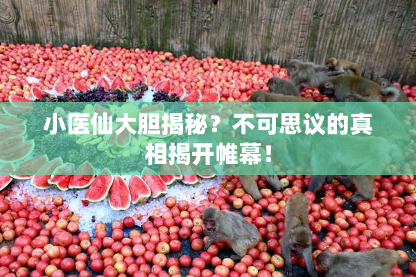 小医仙大胆揭秘？不可思议的真相揭开帷幕！