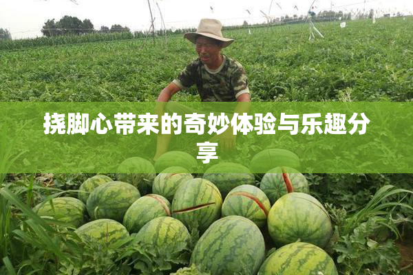 挠脚心带来的奇妙体验与乐趣分享