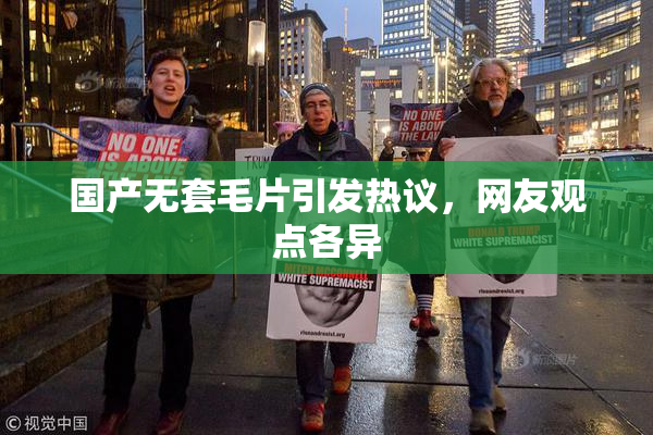 国产无套毛片引发热议，网友观点各异