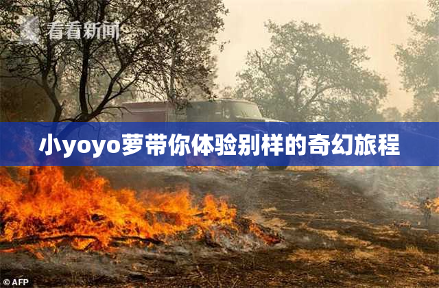 小yoyo萝带你体验别样的奇幻旅程