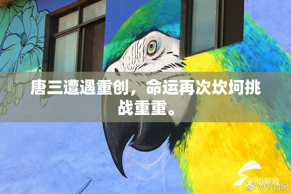 唐三遭遇重创，命运再次坎坷挑战重重。