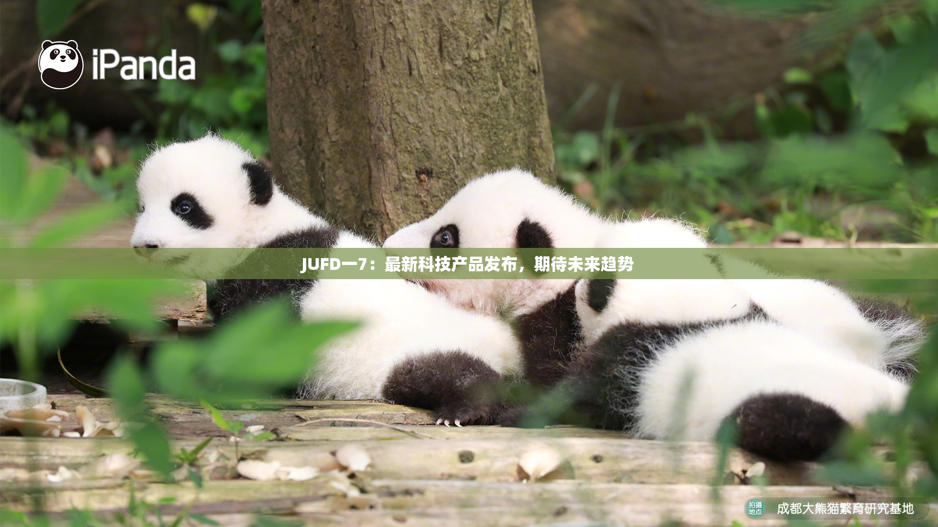 JUFD一7：最新科技产品发布，期待未来趋势
