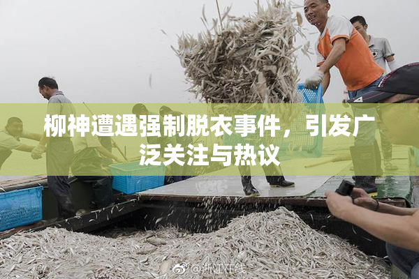 柳神遭遇强制脱衣事件，引发广泛关注与热议