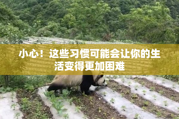 小心！这些习惯可能会让你的生活变得更加困难