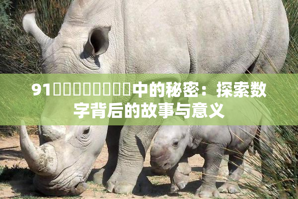 91❌‌❌‌❌‌❌‌中的秘密：探索数字背后的故事与意义