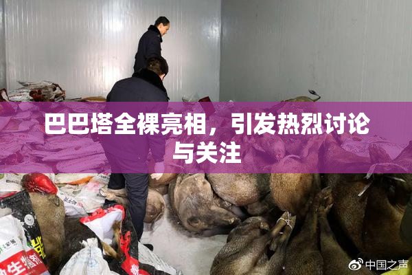 巴巴塔全裸亮相，引发热烈讨论与关注