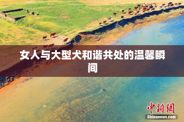 女人与大型犬和谐共处的温馨瞬间