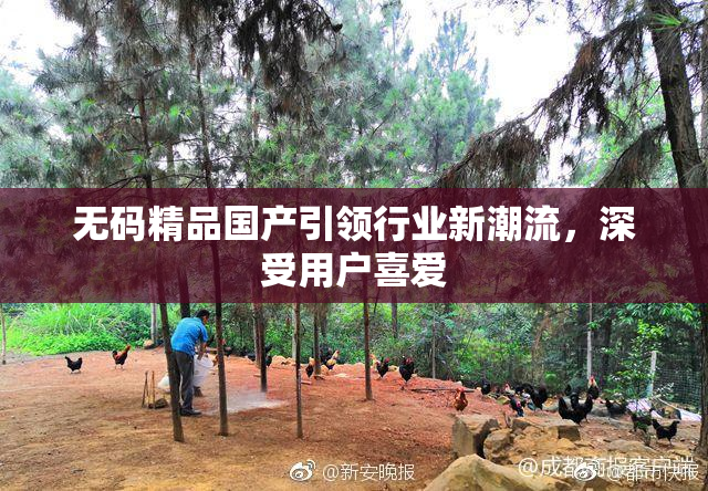 无码精品国产引领行业新潮流，深受用户喜爱