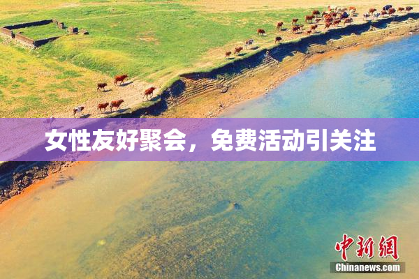 女性友好聚会，免费活动引关注