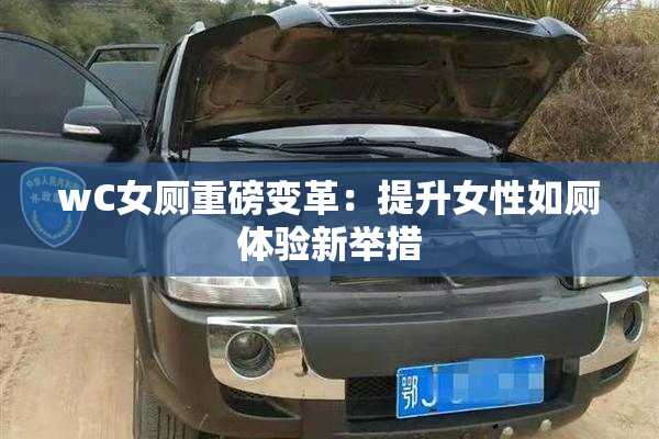 wC女厕重磅变革：提升女性如厕体验新举措