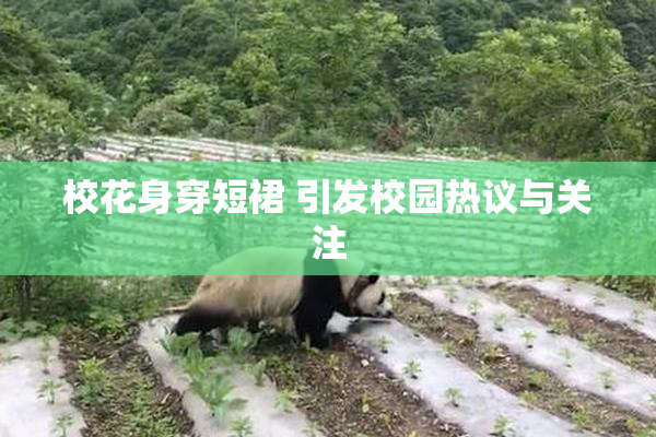 校花身穿短裙 引发校园热议与关注