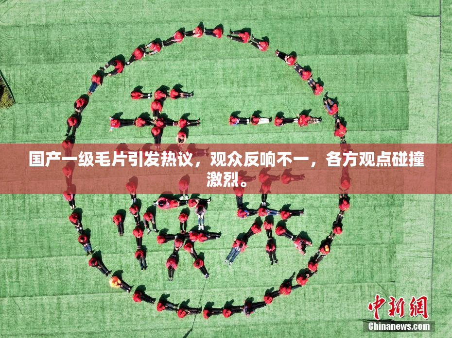国产一级毛片引发热议，观众反响不一，各方观点碰撞激烈。