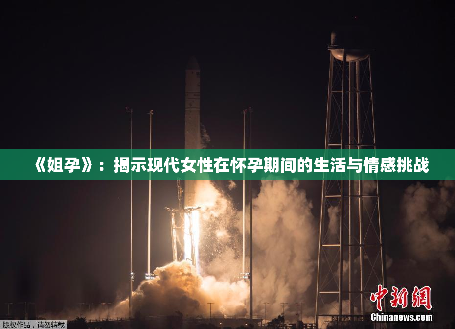 《姐孕》：揭示现代女性在怀孕期间的生活与情感挑战