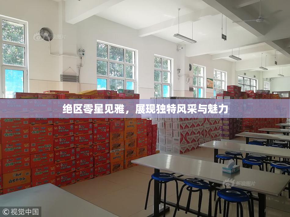 绝区零星见雅，展现独特风采与魅力