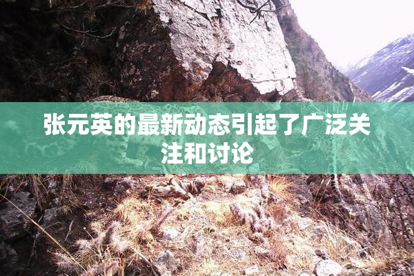 张元英的最新动态引起了广泛关注和讨论