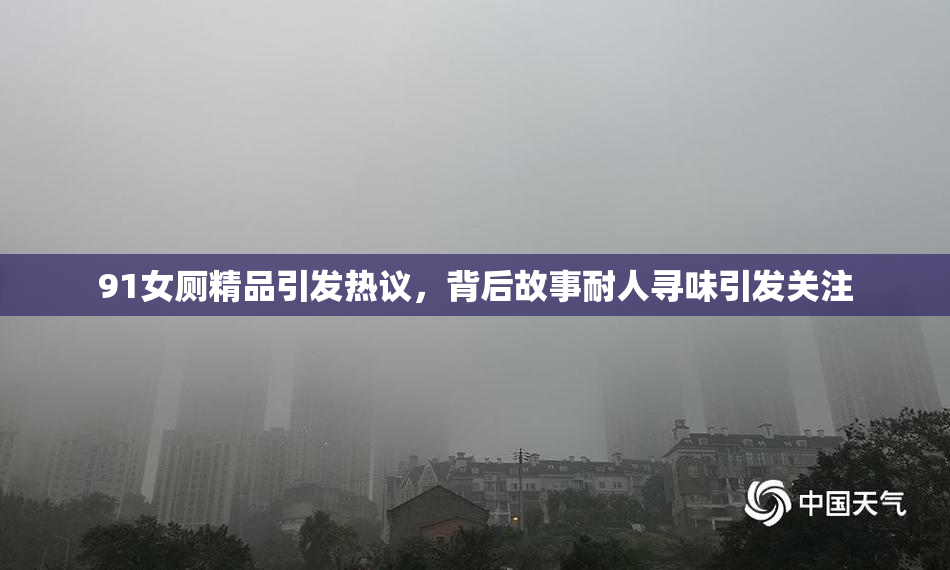 91女厕精品引发热议，背后故事耐人寻味引发关注