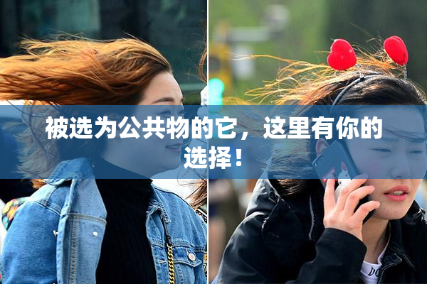 被选为公共物的它，这里有你的选择！