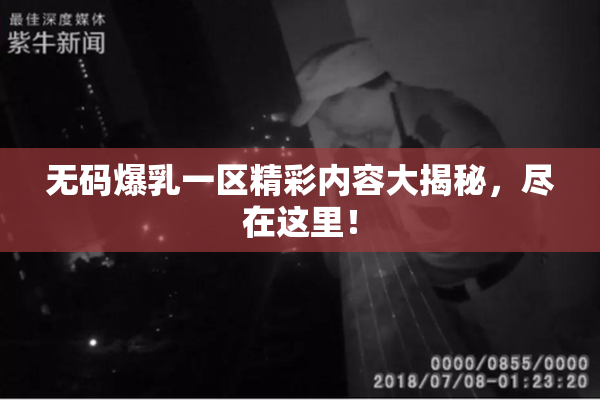 无码爆乳一区精彩内容大揭秘，尽在这里！