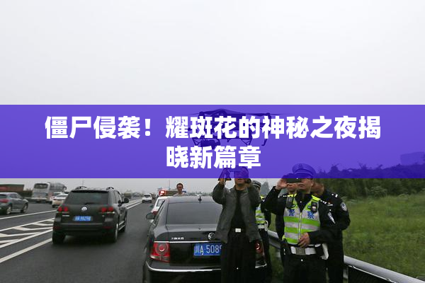 僵尸侵袭！耀斑花的神秘之夜揭晓新篇章