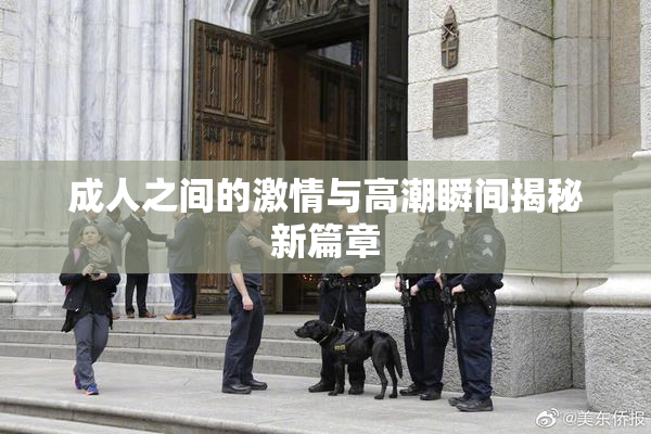成人之间的激情与高潮瞬间揭秘新篇章