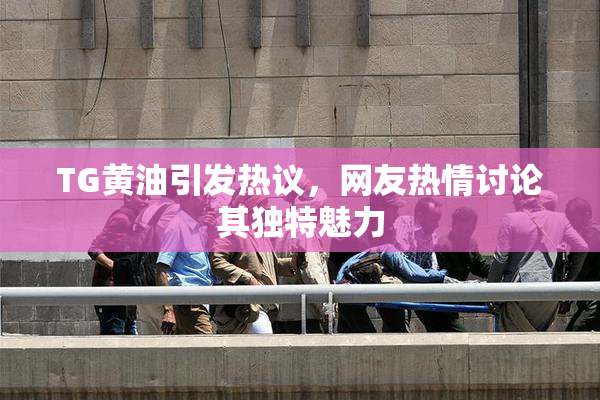 TG黄油引发热议，网友热情讨论其独特魅力
