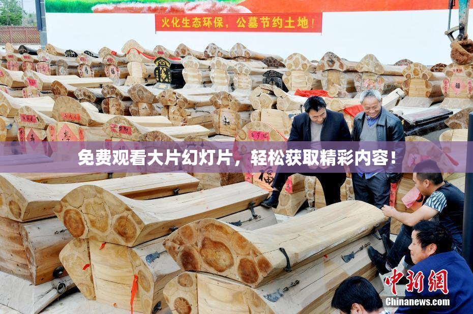 免费观看大片幻灯片，轻松获取精彩内容！