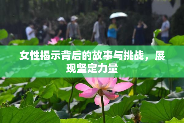 女性揭示背后的故事与挑战，展现坚定力量
