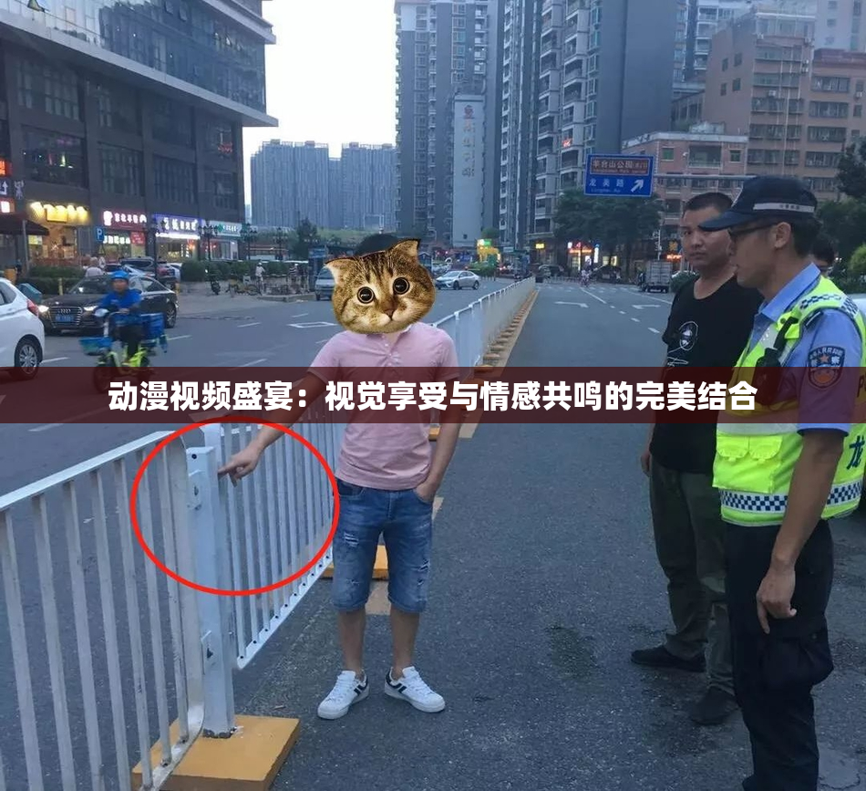 动漫视频盛宴：视觉享受与情感共鸣的完美结合
