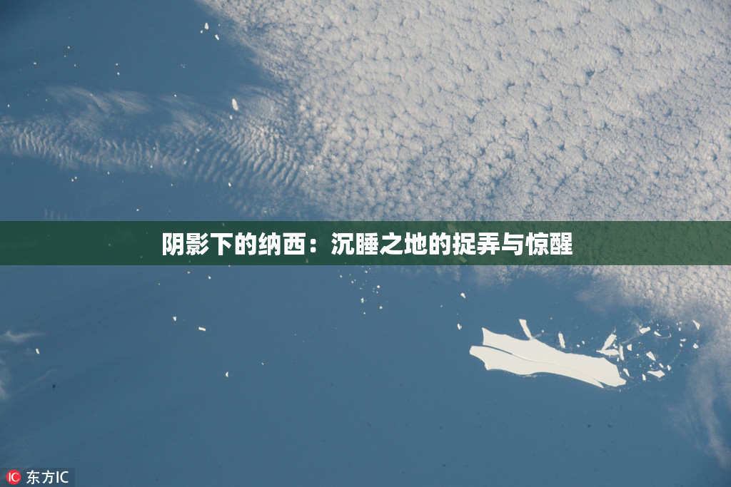 阴影下的纳西：沉睡之地的捉弄与惊醒