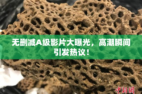 无删减A级影片大曝光，高潮瞬间引发热议！