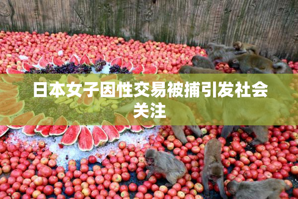 日本女子因性交易被捕引发社会关注