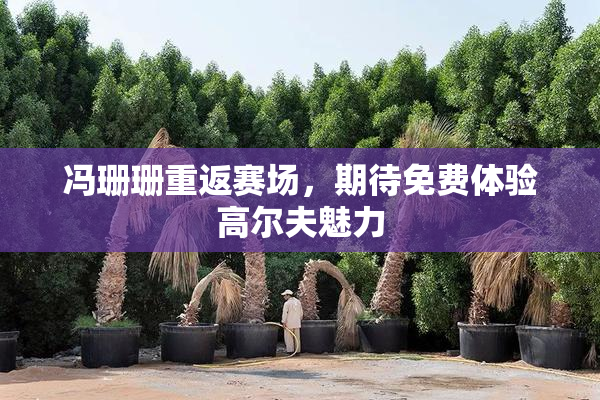 冯珊珊重返赛场，期待免费体验高尔夫魅力