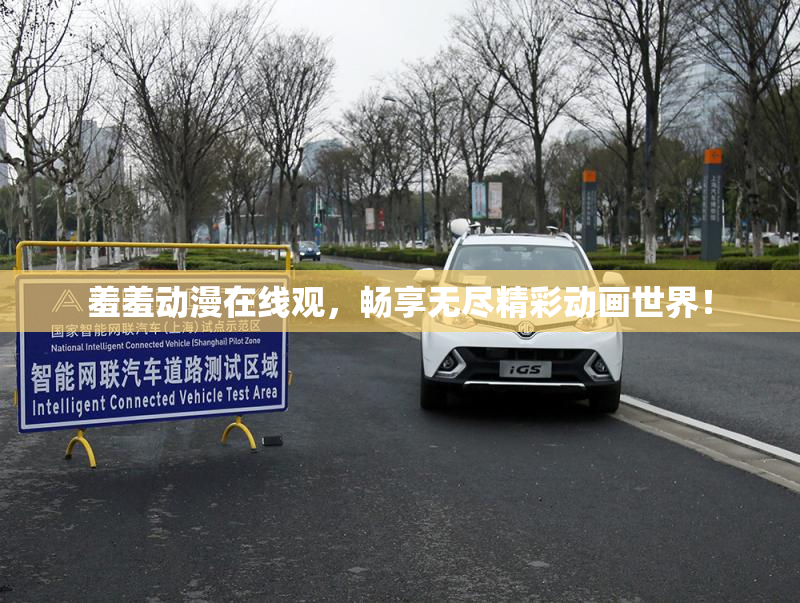羞羞动漫在线观，畅享无尽精彩动画世界！