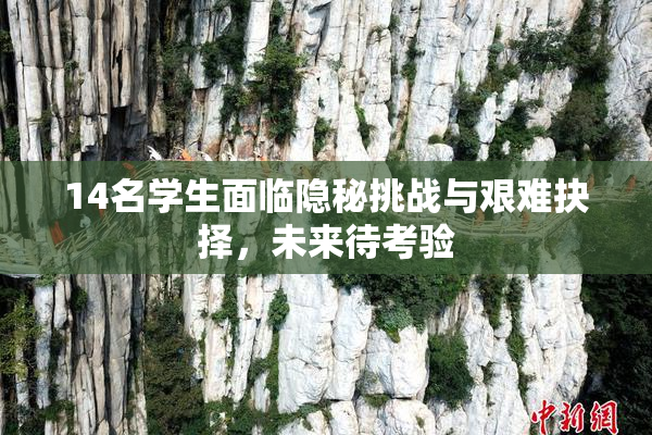 14名学生面临隐秘挑战与艰难抉择，未来待考验