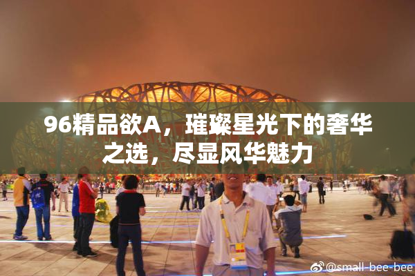96精品欲A，璀璨星光下的奢华之选，尽显风华魅力