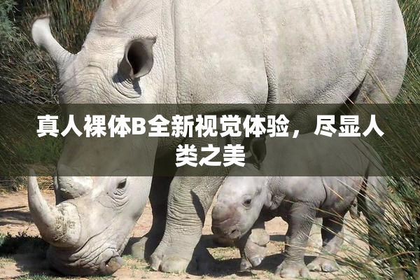 真人裸体B全新视觉体验，尽显人类之美