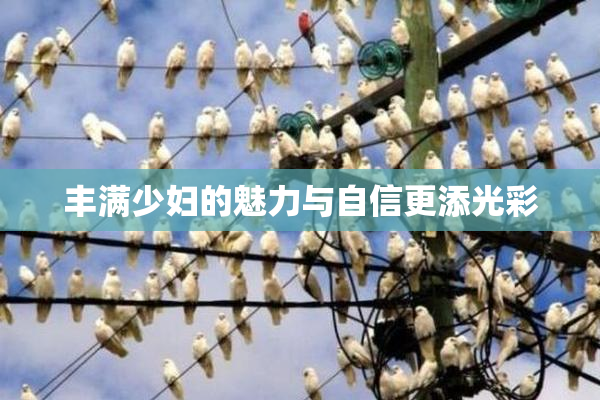 丰满少妇的魅力与自信更添光彩
