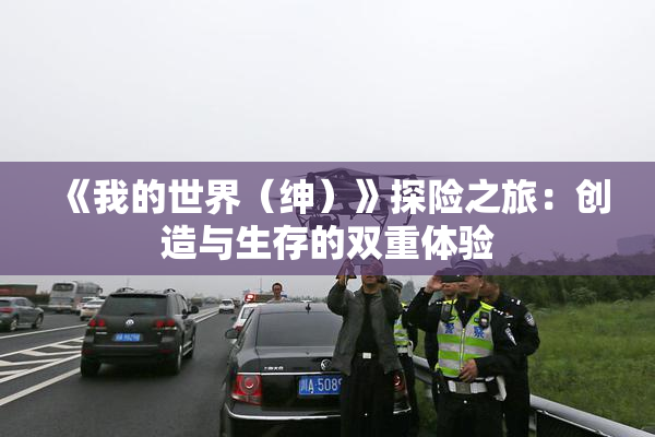 《我的世界（绅）》探险之旅：创造与生存的双重体验