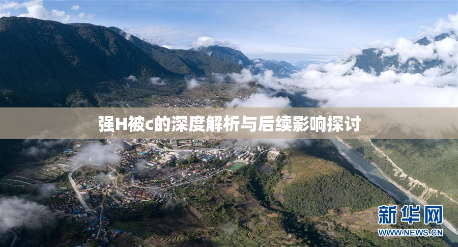 强H被c的深度解析与后续影响探讨
