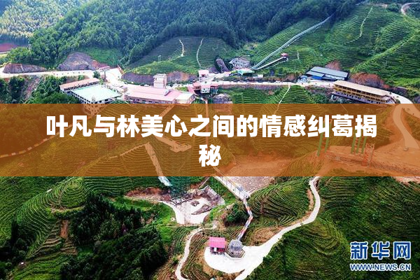 叶凡与林美心之间的情感纠葛揭秘