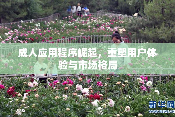 成人应用程序崛起，重塑用户体验与市场格局