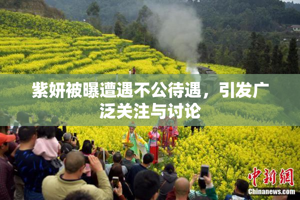 紫妍被曝遭遇不公待遇，引发广泛关注与讨论