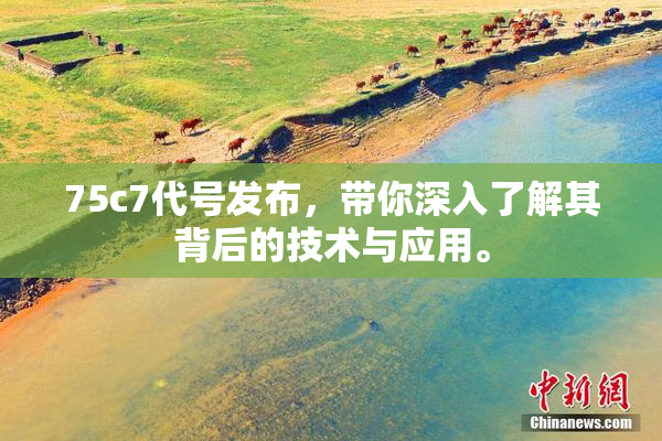 75c7代号发布，带你深入了解其背后的技术与应用。