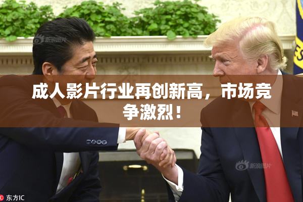 成人影片行业再创新高，市场竞争激烈！