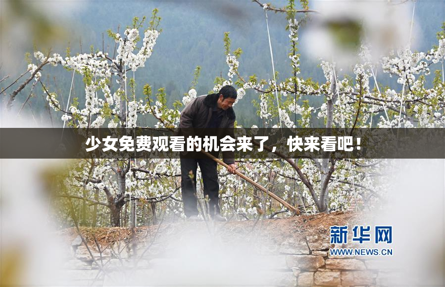 少女免费观看的机会来了，快来看吧！