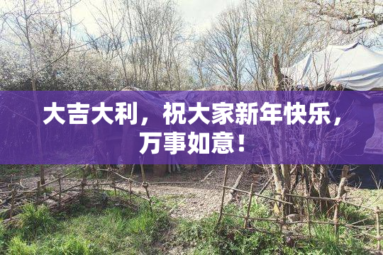 大吉大利，祝大家新年快乐，万事如意！