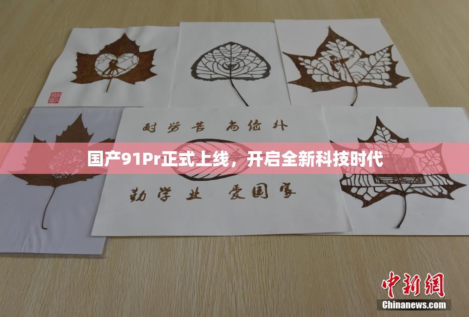 国产91Pr正式上线，开启全新科技时代