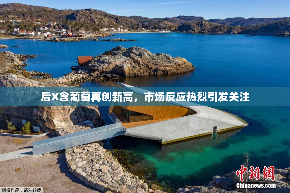后X含葡萄再创新高，市场反应热烈引发关注