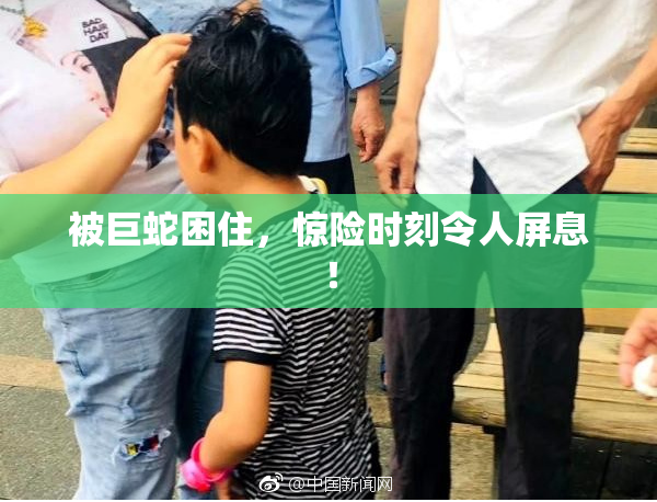 被巨蛇困住，惊险时刻令人屏息！
