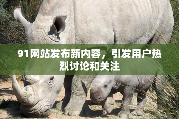 91网站发布新内容，引发用户热烈讨论和关注